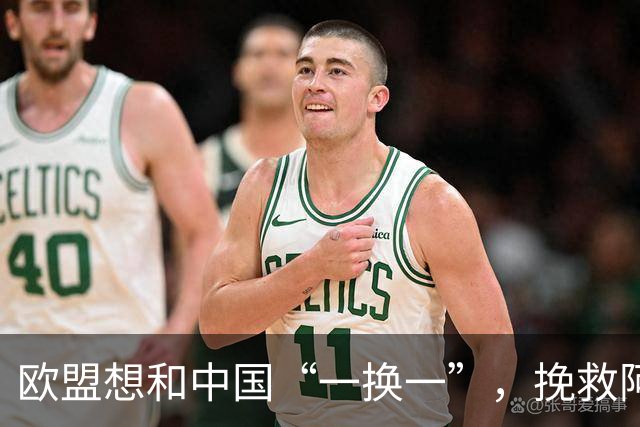 欧盟想和中国“一换一”，挽救阿斯麦企业，方案中国未必会同意