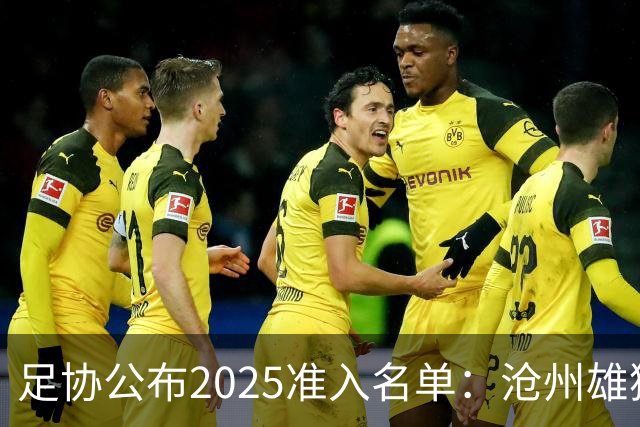 足协公布2025准入名单：沧州雄狮、广州队无缘